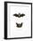 Particoloured Bat-null-Framed Giclee Print