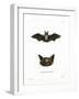 Particoloured Bat-null-Framed Giclee Print