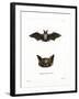 Particoloured Bat-null-Framed Giclee Print