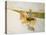 Partie De Campagne-Henri de Toulouse-Lautrec-Stretched Canvas