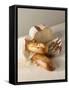 Partly Sliced Bread and Baguettes-Diana Miller-Framed Stretched Canvas