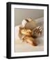 Partly Sliced Bread and Baguettes-Diana Miller-Framed Photographic Print