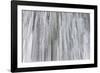 Partnachklamm near Garmisch-Partenkirchen in Bavaria, Germany during winter. Frozen waterfall-Martin Zwick-Framed Photographic Print