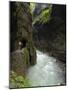 Partnachklamm, Partnach Gorge, Near Garmisch-Partenkirchen, Bavaria, Germany, Europe-Gary Cook-Mounted Photographic Print