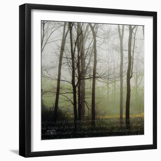 Partners III-Studio 2-Framed Photographic Print