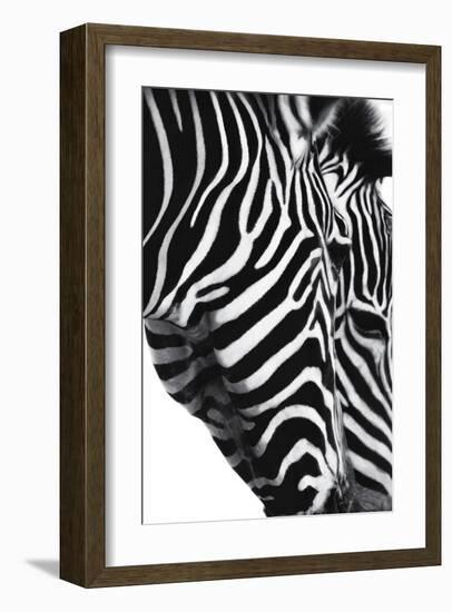Partners In Crime-Dina Marie-Framed Giclee Print