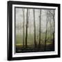 Partners IV-Studio 2-Framed Photographic Print