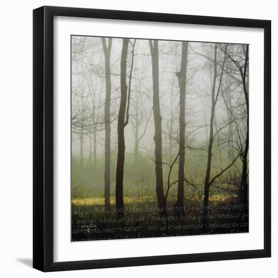 Partners IV-Studio 2-Framed Photographic Print