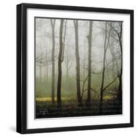 Partners IV-Studio 2-Framed Photographic Print