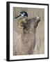 Partners-Rusty Frentner-Framed Giclee Print