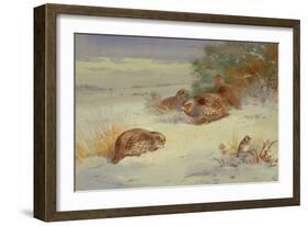 Partridge and a Goldfinch in a Winter landscape watercolor-Archibald Thorburn-Framed Giclee Print