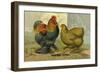 Partridge Cochins-null-Framed Art Print