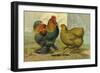 Partridge Cochins-null-Framed Art Print