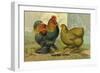 Partridge Cochins-null-Framed Art Print