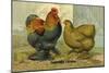 Partridge Cochins-null-Mounted Art Print