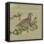 Partridge in a Pear Tree-Leslie Wing-Framed Stretched Canvas