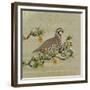 Partridge in a Pear Tree-Leslie Wing-Framed Giclee Print