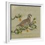 Partridge in a Pear Tree-Leslie Wing-Framed Giclee Print