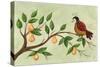 Partridge in a Pear Tree-Beverly Johnston-Stretched Canvas