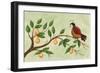 Partridge in a Pear Tree-Beverly Johnston-Framed Giclee Print