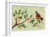 Partridge in a Pear Tree-Beverly Johnston-Framed Giclee Print