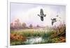 Partridge in Flight-Carl Donner-Framed Giclee Print