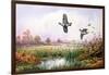 Partridge in Flight-Carl Donner-Framed Giclee Print