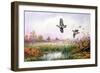 Partridge in Flight-Carl Donner-Framed Giclee Print