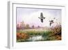 Partridge in Flight-Carl Donner-Framed Giclee Print