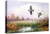 Partridge in Flight-Carl Donner-Stretched Canvas