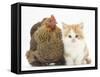Partridge Pekin Bantam with Ginger-And-White Kitten-Mark Taylor-Framed Stretched Canvas