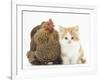 Partridge Pekin Bantam with Ginger-And-White Kitten-Mark Taylor-Framed Photographic Print