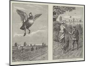 Partridge Shooting in Norfolk-null-Mounted Giclee Print