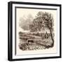 Partridge Shooting in September. Shotgun-null-Framed Giclee Print