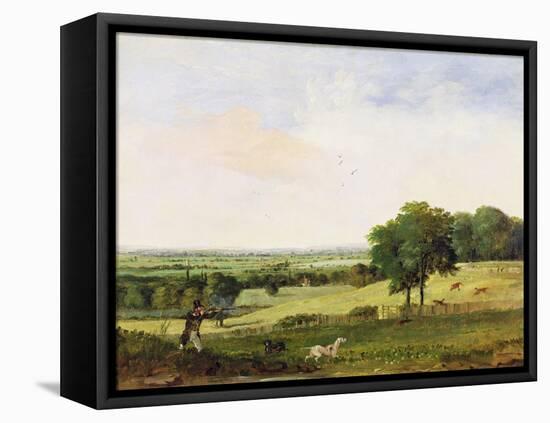 Partridge Shooting-Edward Duncan-Framed Stretched Canvas