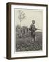 Partridge Shooting-Richard Caton Woodville II-Framed Giclee Print