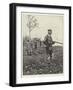 Partridge Shooting-Richard Caton Woodville II-Framed Giclee Print