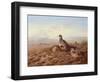 Partridges Amongst Stubble, 1900 watercolor-Archibald Thorburn-Framed Giclee Print