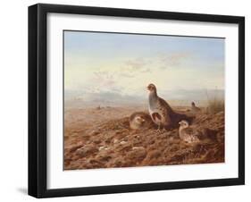 Partridges Amongst Stubble, 1900 watercolor-Archibald Thorburn-Framed Giclee Print