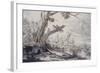 Partridges and Snipe, 17Th Century (Drawing)-Francis Barlow-Framed Giclee Print