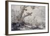 Partridges and Snipe, 17Th Century (Drawing)-Francis Barlow-Framed Giclee Print