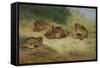 Partridges Basking-Archibald Thorburn-Framed Stretched Canvas