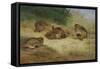 Partridges Basking-Archibald Thorburn-Framed Stretched Canvas