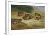 Partridges Basking-Archibald Thorburn-Framed Giclee Print