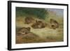 Partridges Basking-Archibald Thorburn-Framed Giclee Print