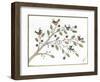 Partridges-Beverly Johnston-Framed Giclee Print