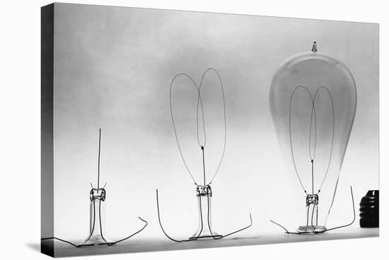 Parts of Incandescent Light Bulb-null-Stretched Canvas