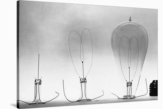 Parts of Incandescent Light Bulb-null-Stretched Canvas