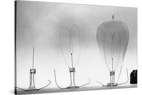 Parts of Incandescent Light Bulb-null-Stretched Canvas