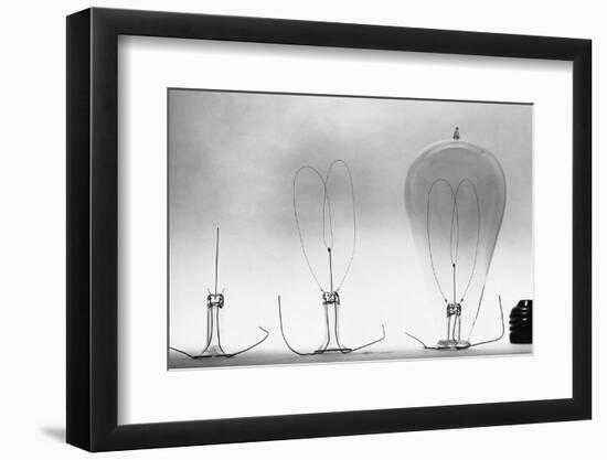 Parts of Incandescent Light Bulb-null-Framed Photographic Print